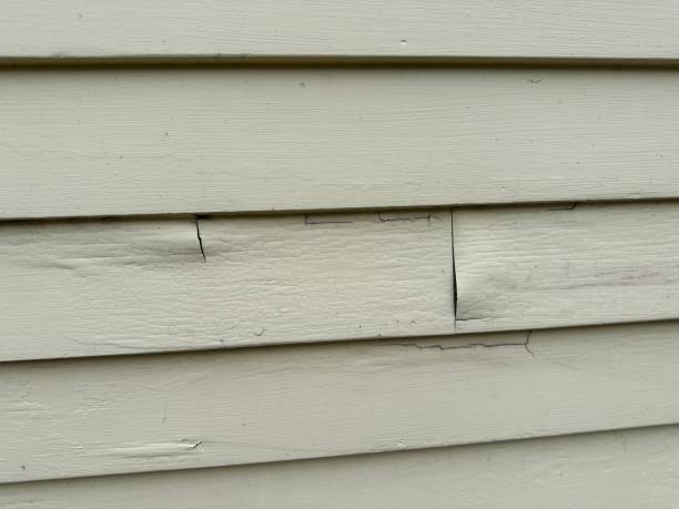 Best Custom Siding Design  in Pasco, WA